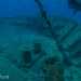 Dalla prua  possibile contemplare il blu intenso del mare che spicca davanti all'enorme scafo...